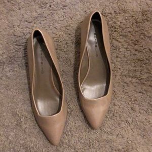 Tan wedge pump